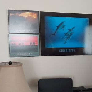 Serenity Dolphin Wall Art Trio - Blue, Teal, Black